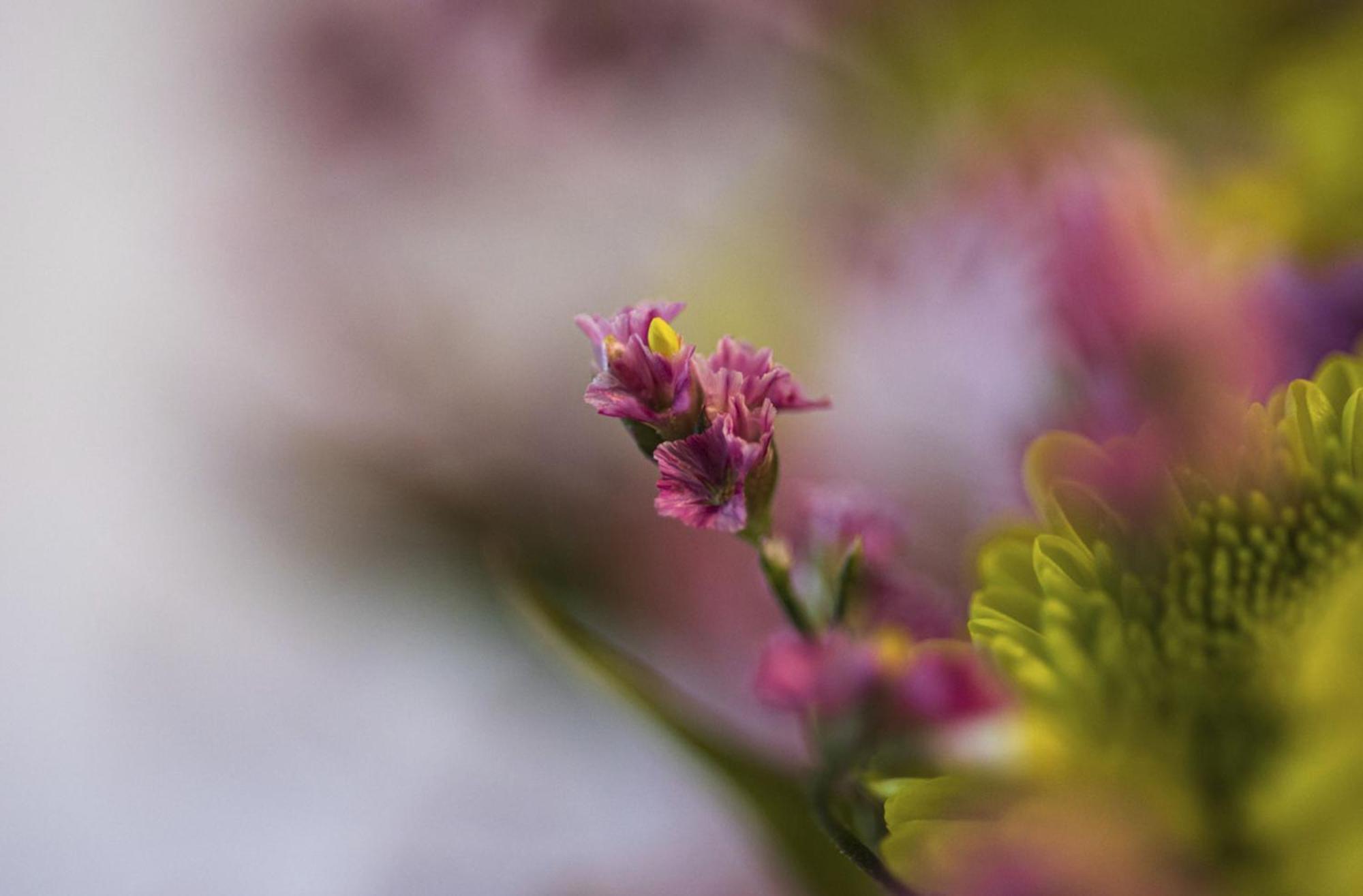 Superior Double Room,1705574029:JPEG