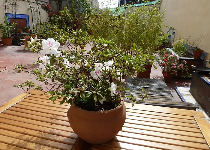 Bed and Breakfast Via Arriba terraza Ciudad Autónoma de Ciudad Autónoma de Buenos Aires